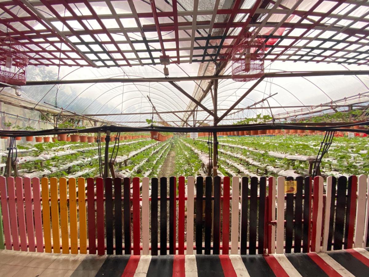 Aiza Homestay Opposite Abang Strawberry Taman Sedia 丹那拉打 外观 照片