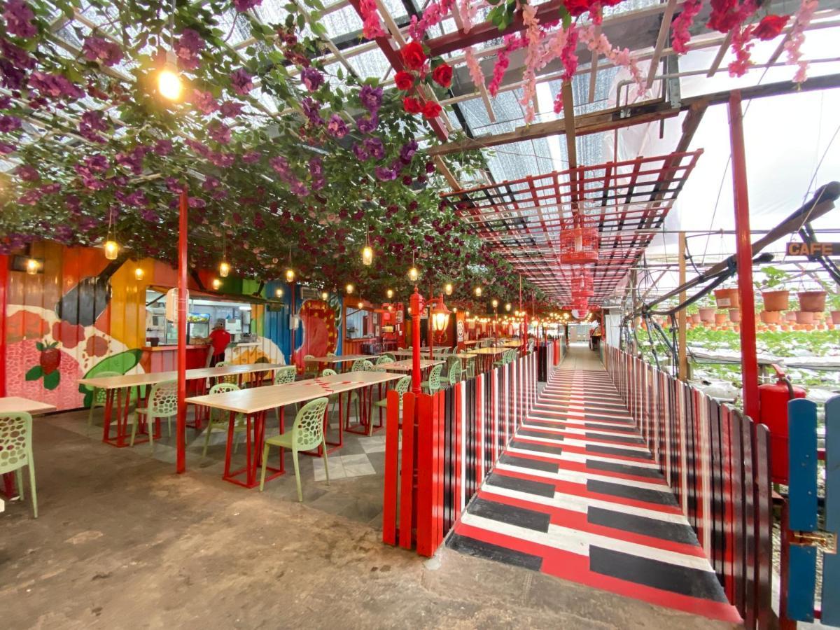 Aiza Homestay Opposite Abang Strawberry Taman Sedia 丹那拉打 外观 照片